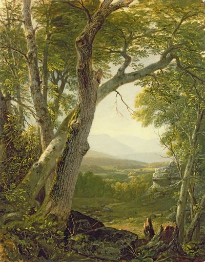 Shandaken Ridge, Kingston, New York, c.1854 by Asher Brown Durand